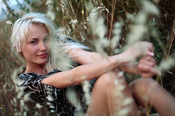 Портфолио: Доказательства лета